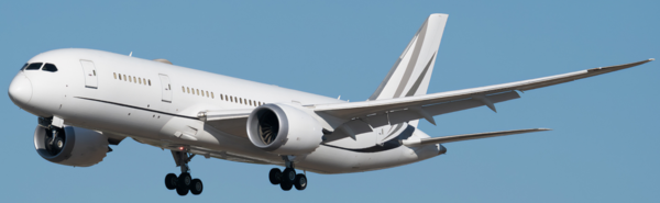 Korean Air ұшағы Boeing 787-8 BBJ